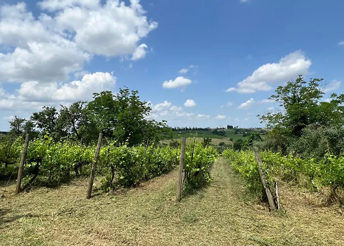Santa Luce Pozzo (Arezzo)