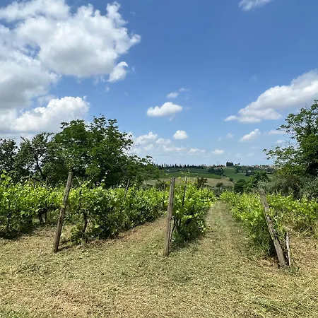 Santa Luce Pozzo (Arezzo)